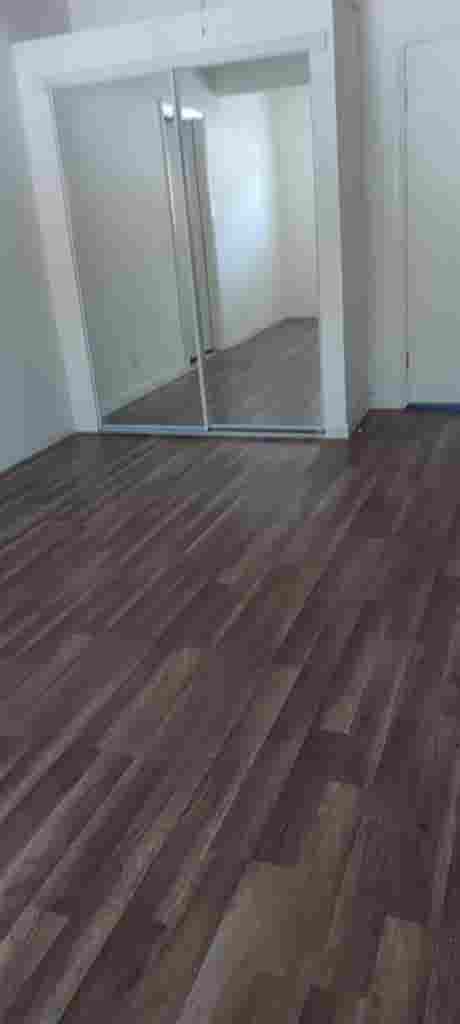 Looking for Mature Roommate