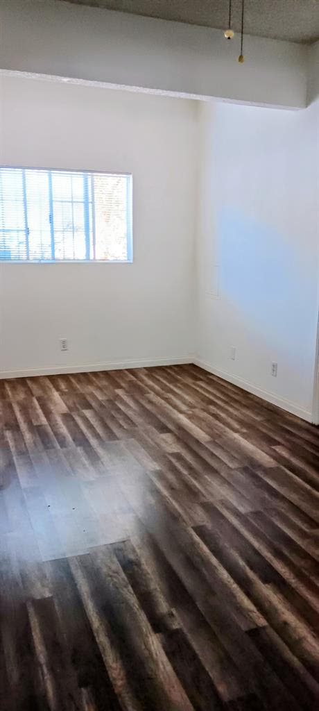 Looking for Mature Roommate