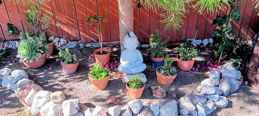 Looking for a Roommate