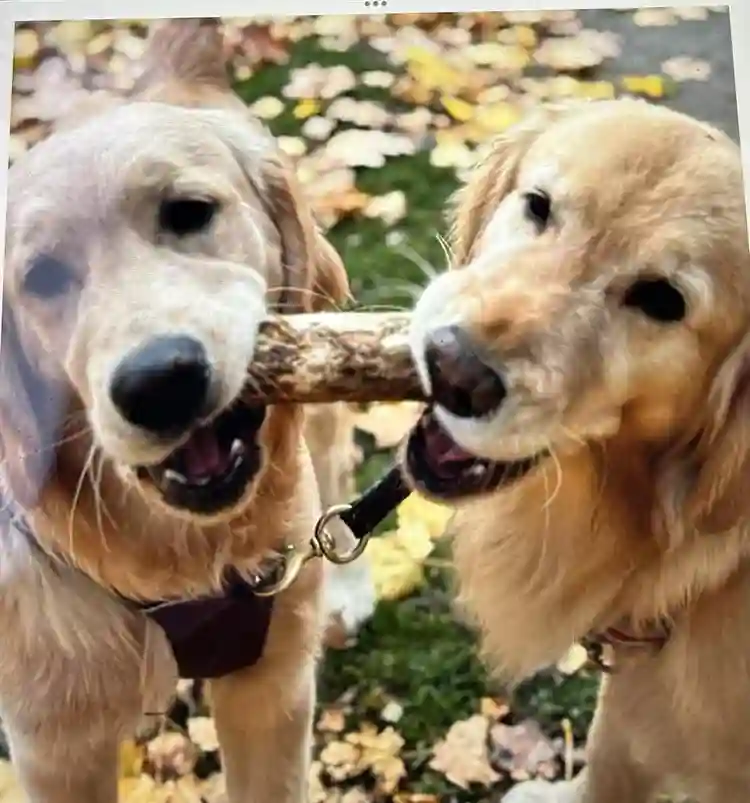 North York - All Incl Near Subway -