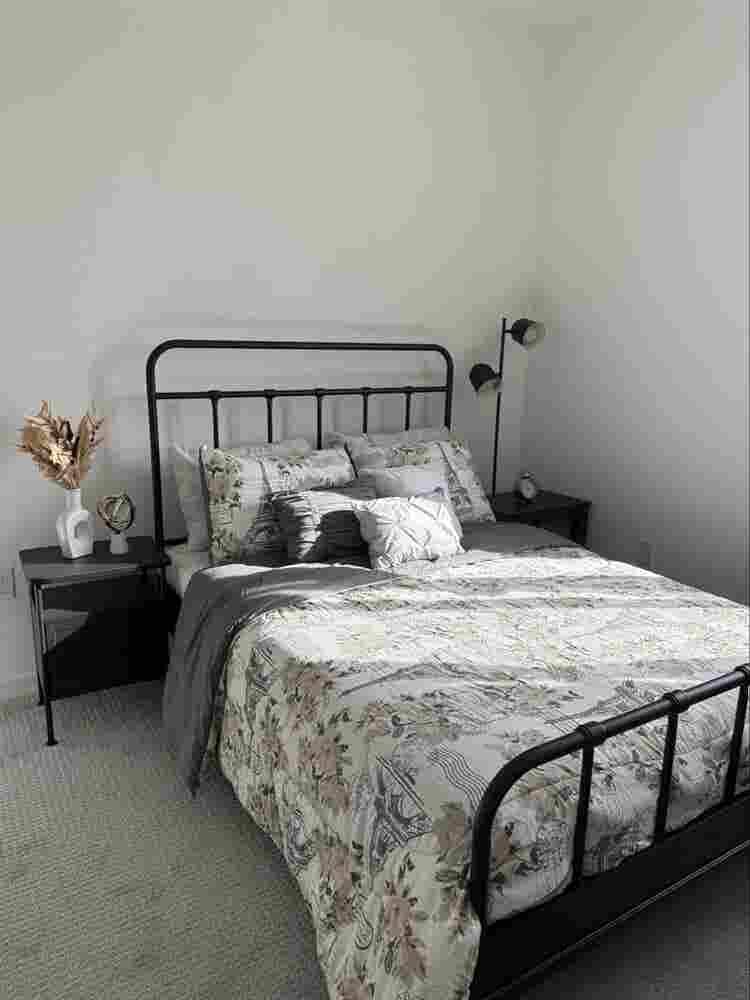 Looking for a roommate!