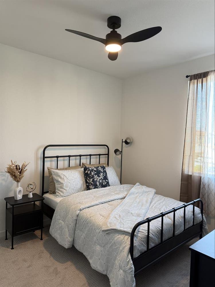 Looking for a roommate!
