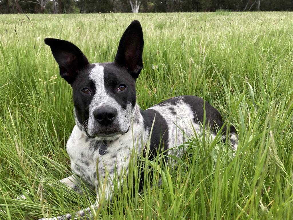 House to share with 1 other