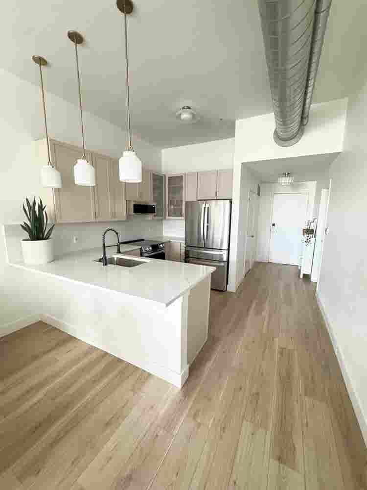 Furnished Lohi 1BR condo Oct & Nov