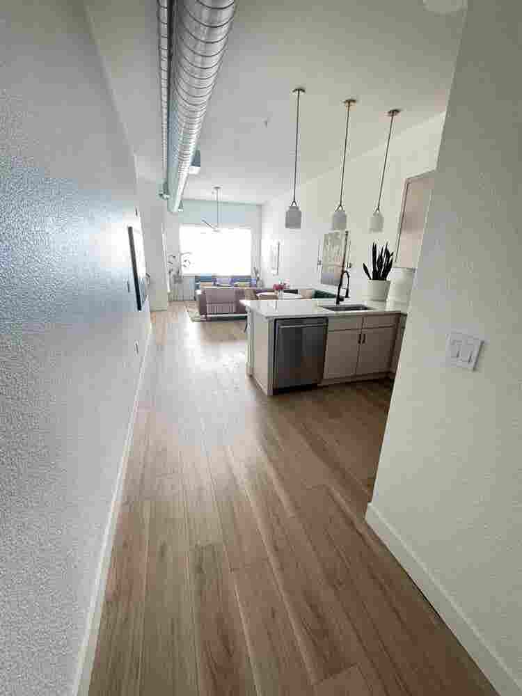 Furnished Lohi 1BR condo Oct & Nov