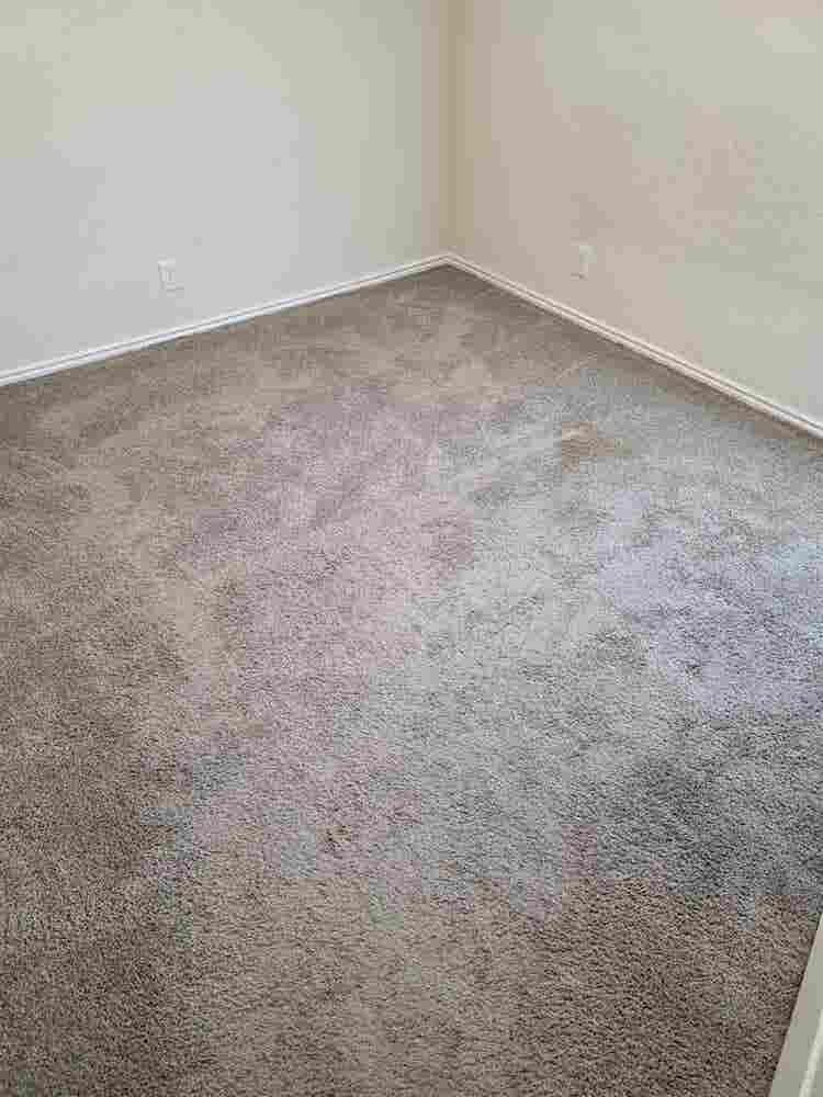 Standard room availible