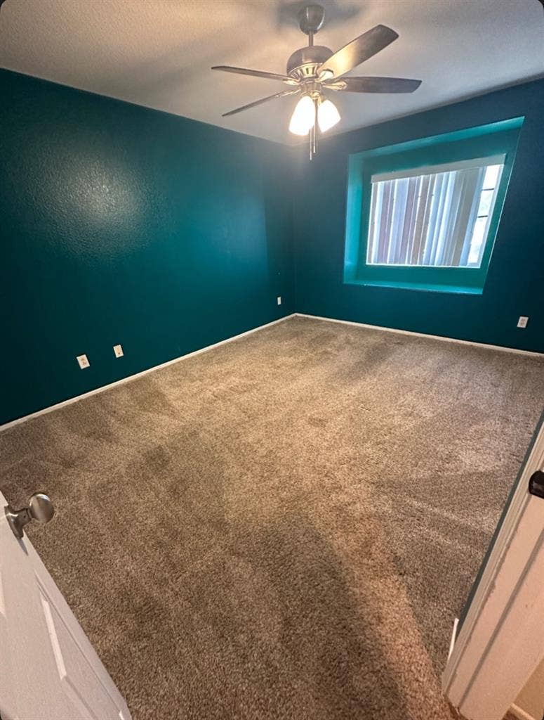 Room For Rent + Full Access