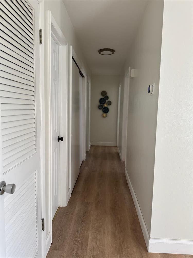House for rent near USF