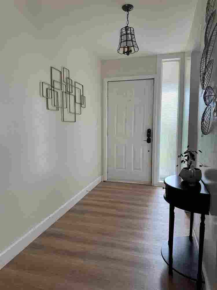 House for rent near USF