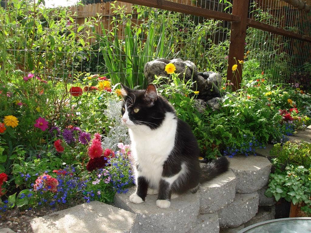 Room in Concord w/pvt entrance