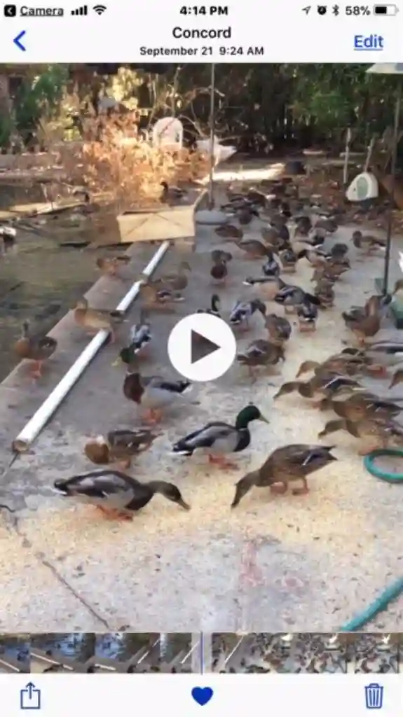 Room in Concord w/pvt entrance