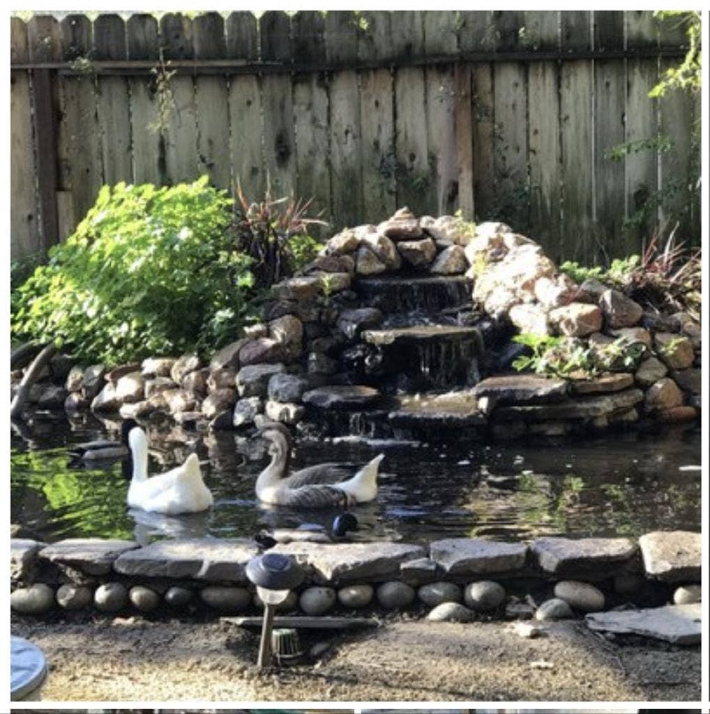 Room in Concord w/pvt entrance