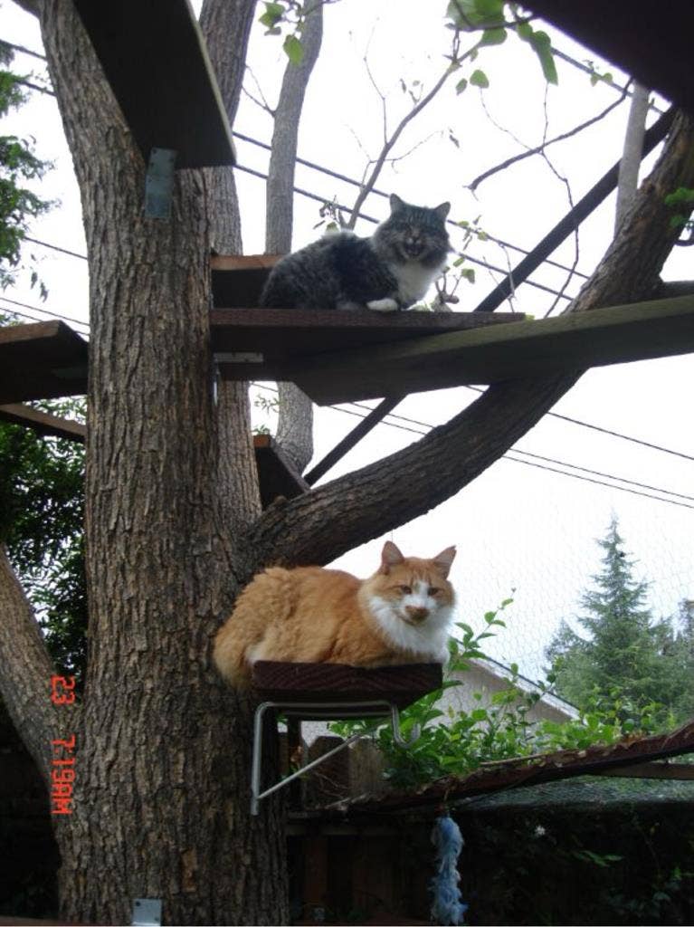 Room in Concord w/pvt entrance