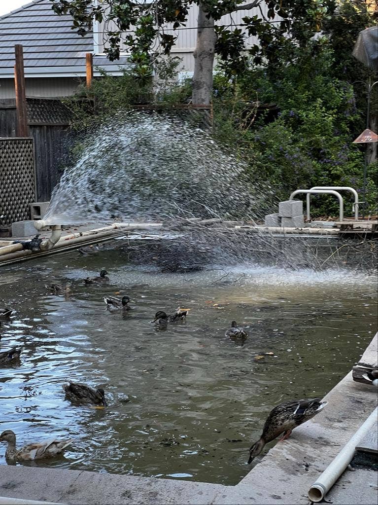 Room in Concord w/pvt entrance