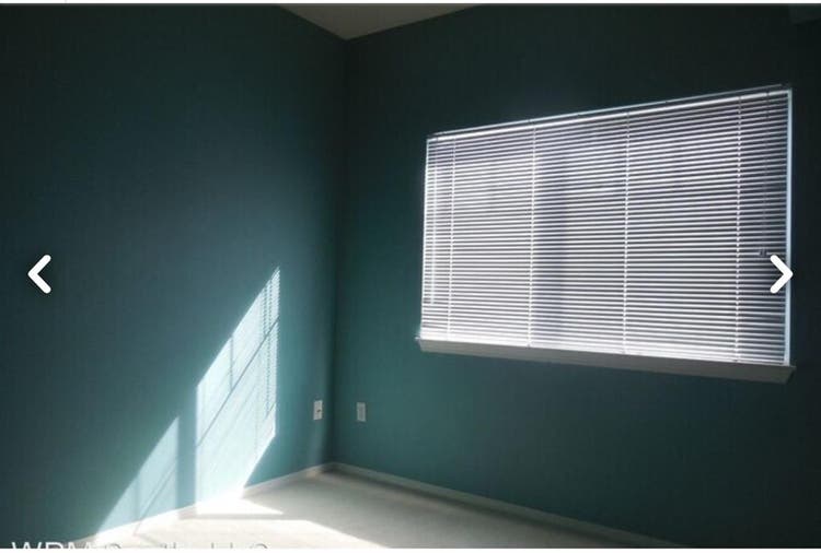 Find Roommate in Renton
