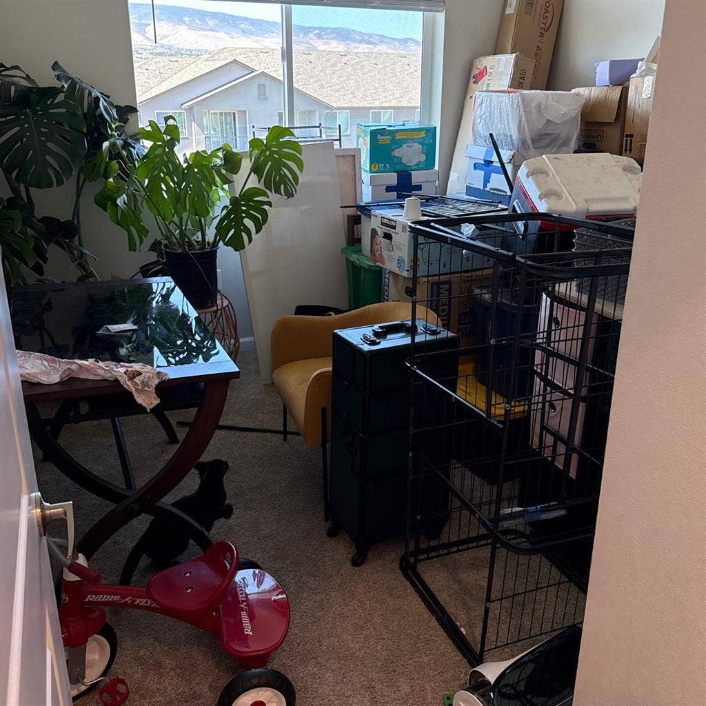 Room fr rent