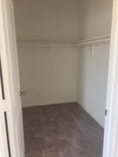 Looking for roomates in 77049