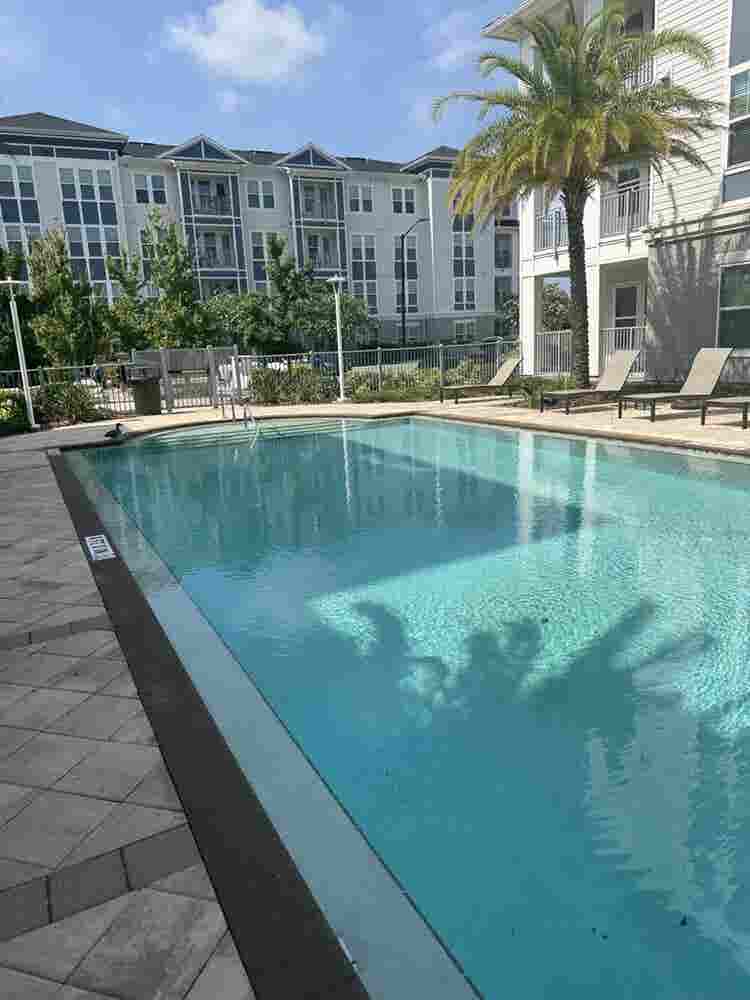 Looking for a female roommate