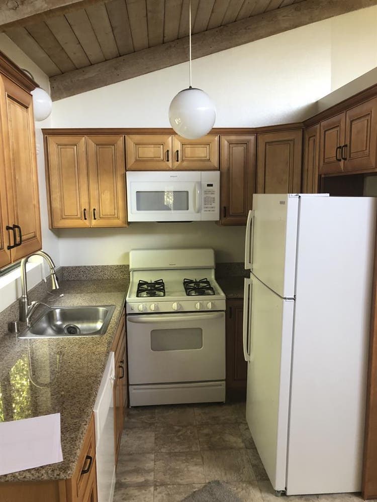 Roomate needed for bath apt