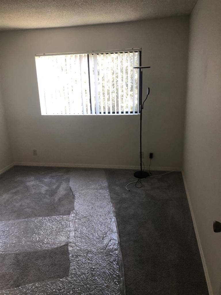 Roomate needed for bath apt