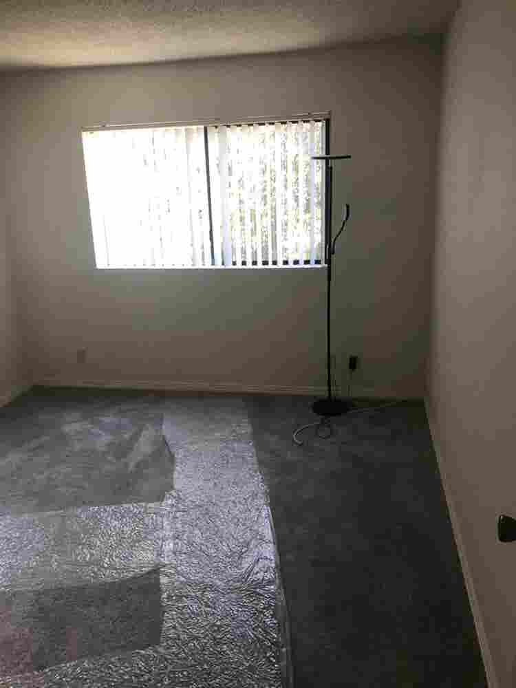 Roomate needed for bath apt
