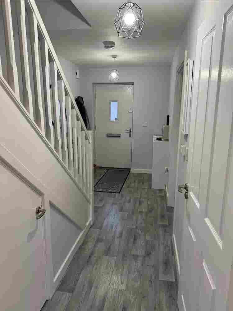 Looking for housemate
