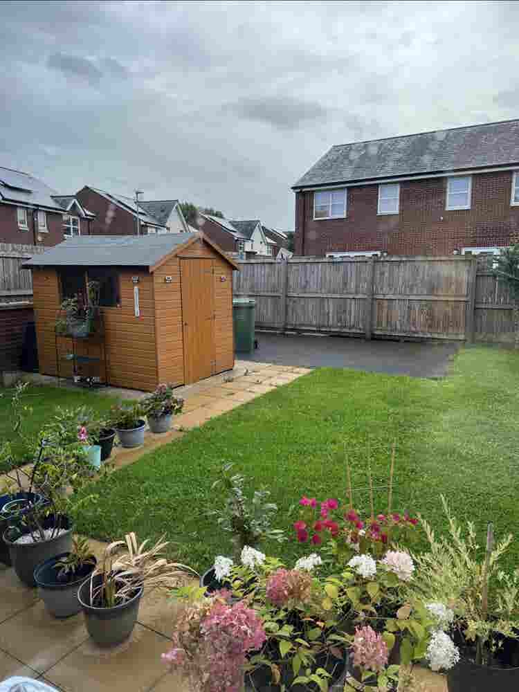 Looking for housemate