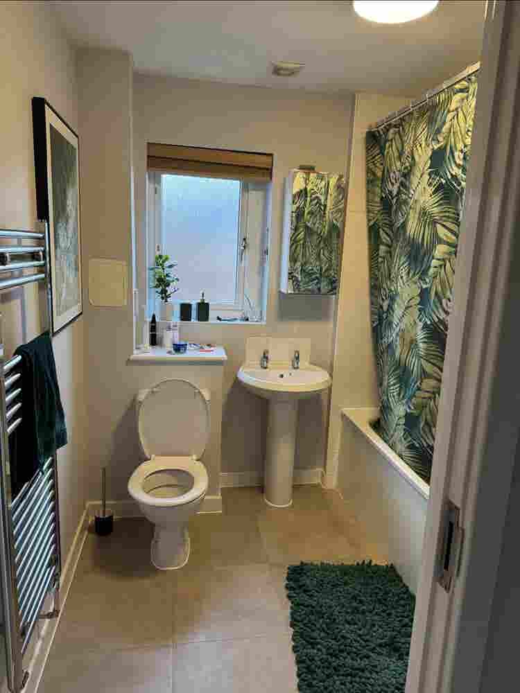 Looking for housemate