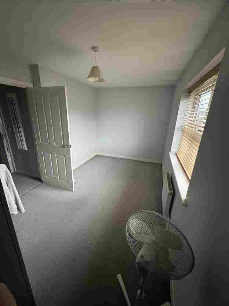 Looking for housemate