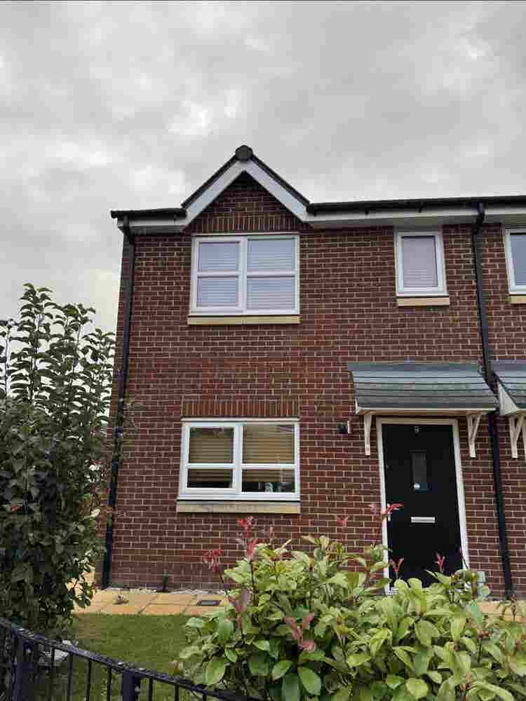 Looking for housemate