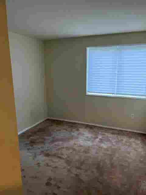 Amazing Room for Rent!