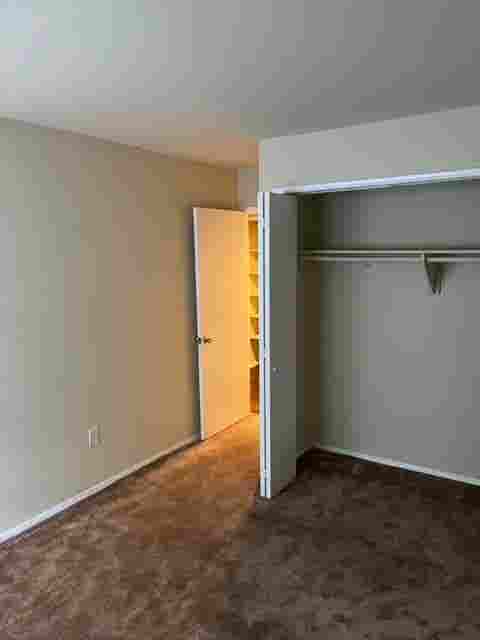Amazing Room for Rent!