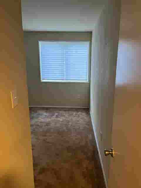 Amazing Room for Rent!