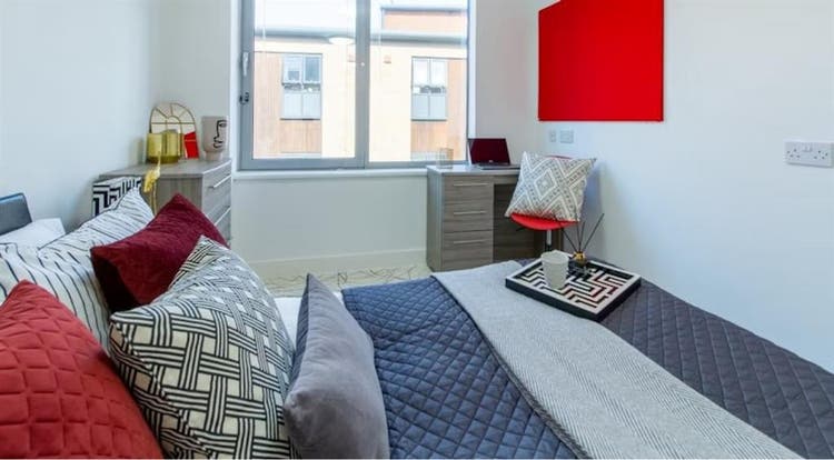 Replacement Tenant needed asap