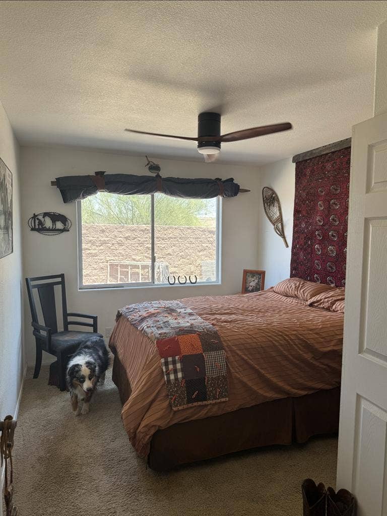 Exceptional  Clean  Safe Home Room