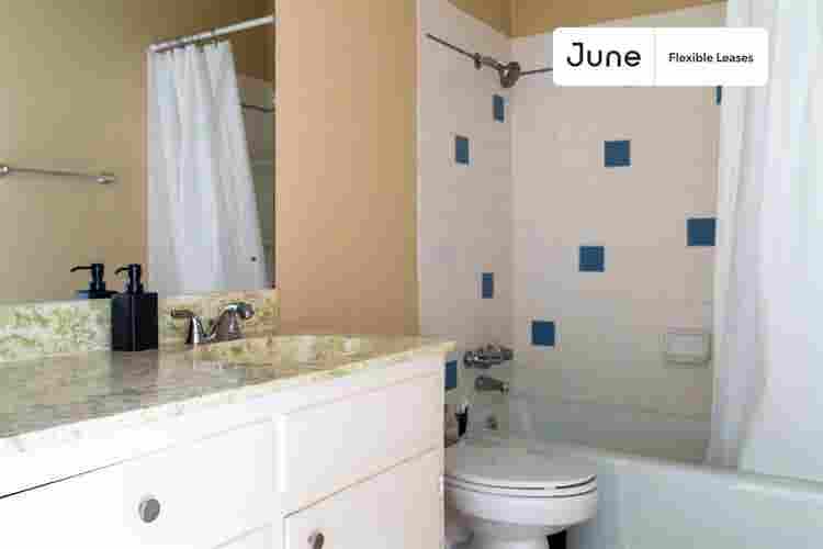 3 BR in Austin