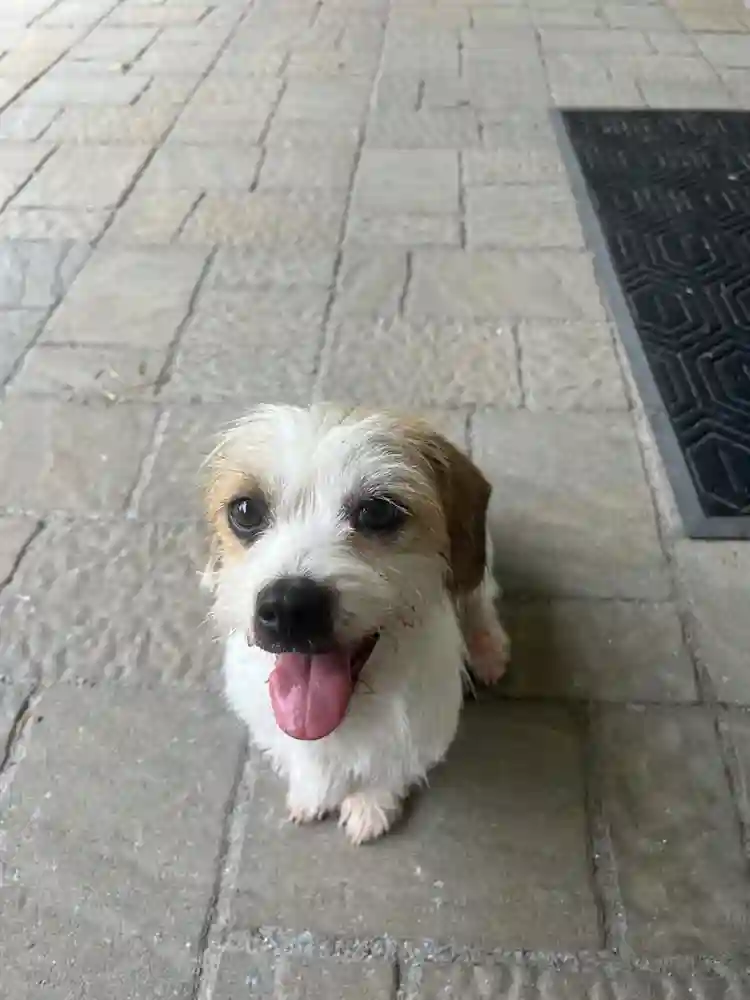 Room and private bathroom