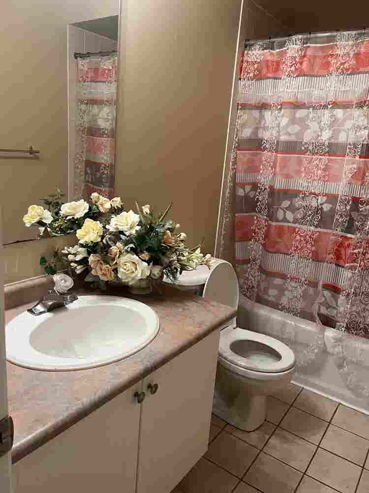 2  Bed Rooms in Toronto