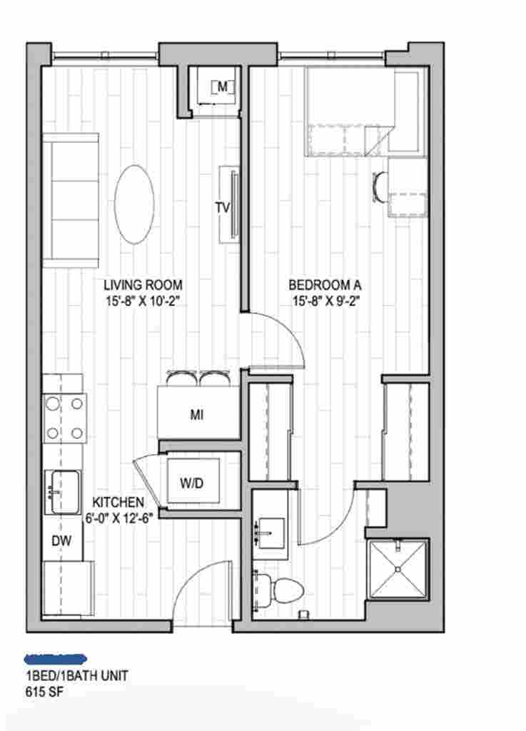 LUXURY SUBLEASE bath UMN