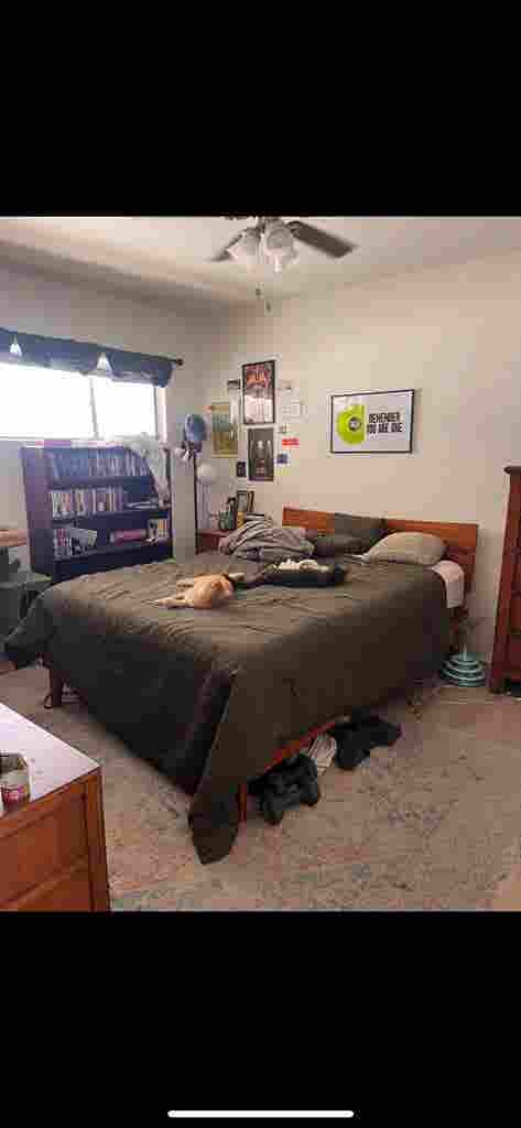 female roommate wanted