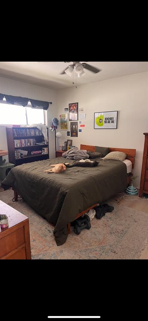 female roommate wanted
