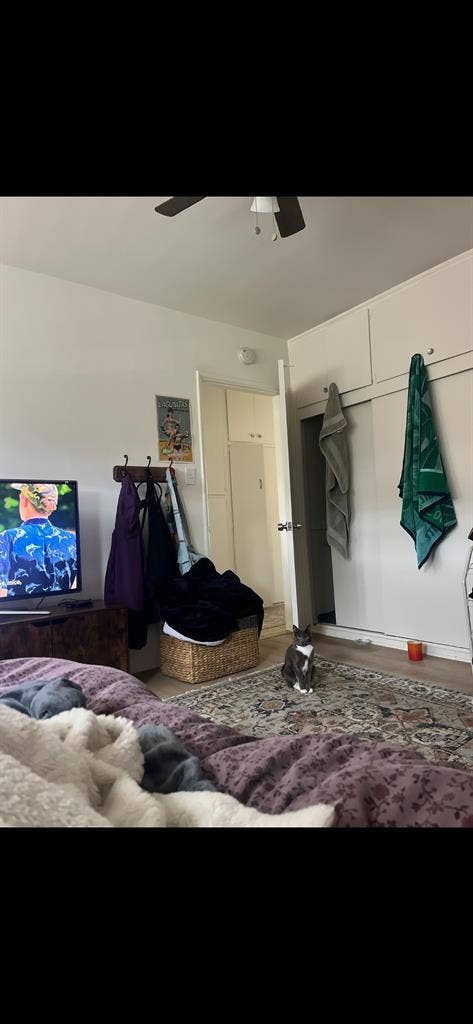 female roommate wanted