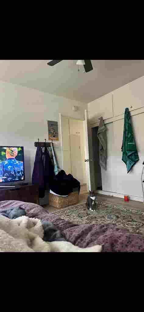 female roommate wanted