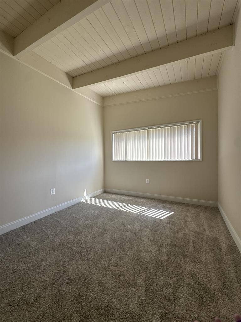 Room for Rent Starting January 1st