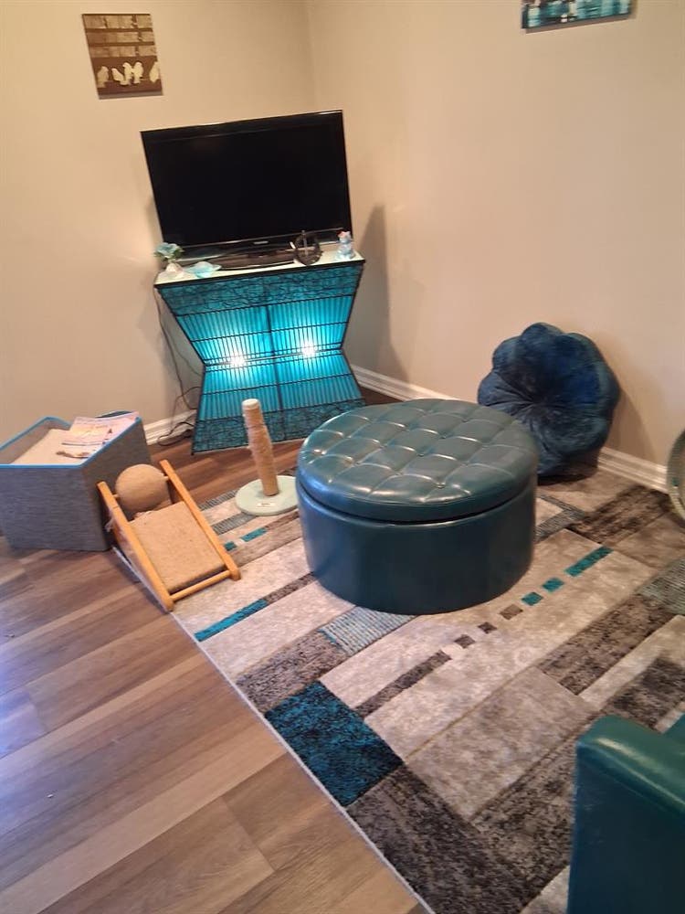Roommate for Private Bedroom/bath