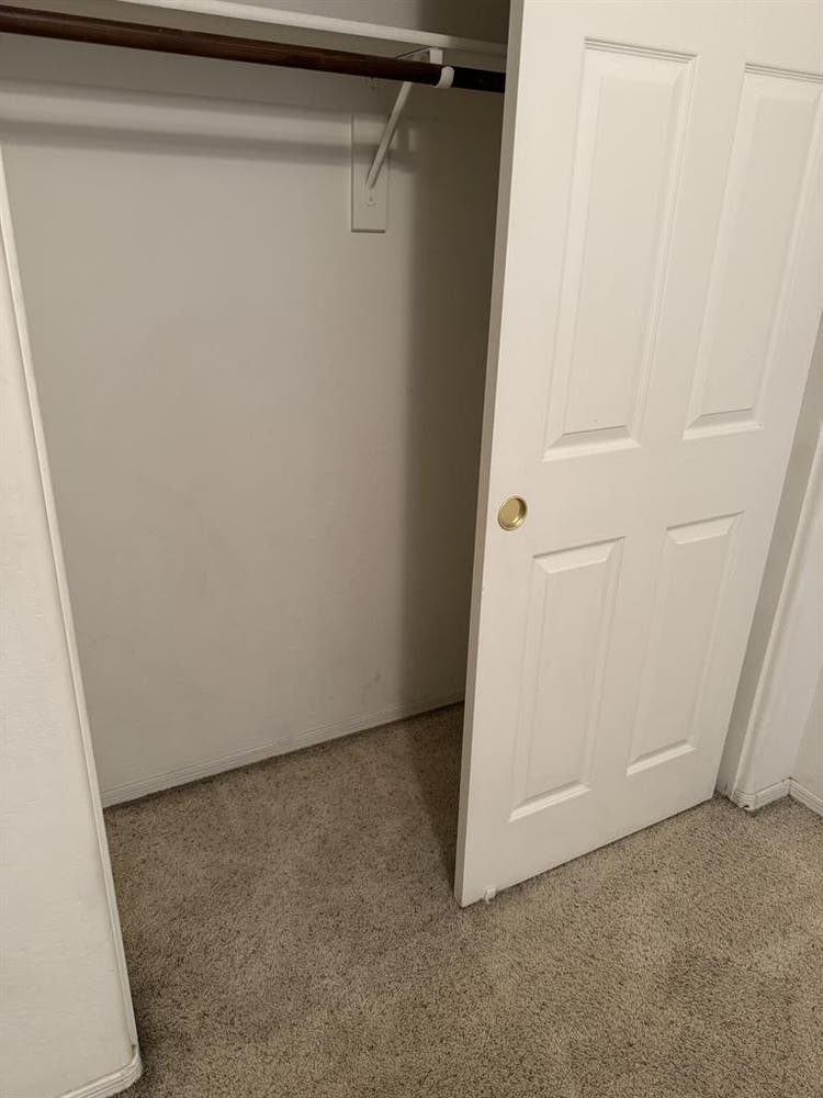 Single, Professional Female