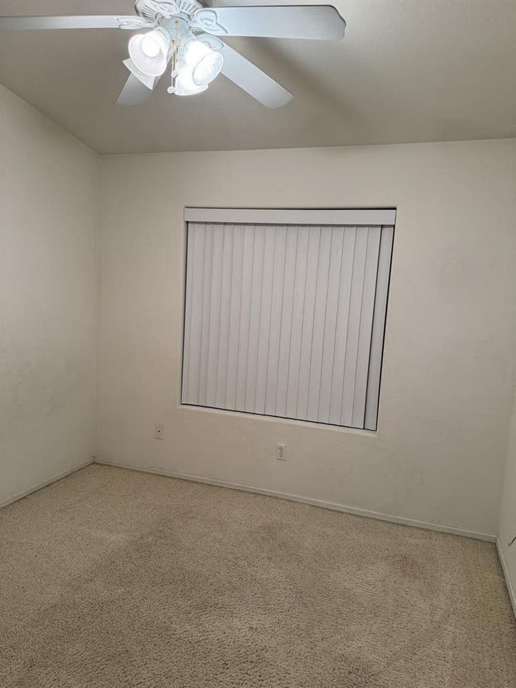 Single, Professional Female