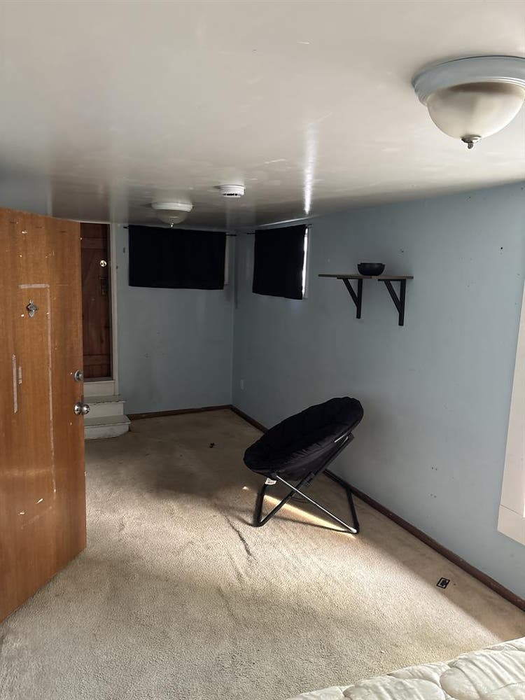 Roommate Needed