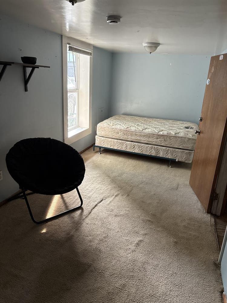 Roommate Needed