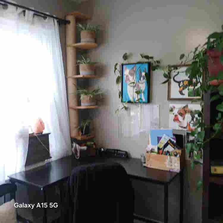 Roommate wanted in shared house.